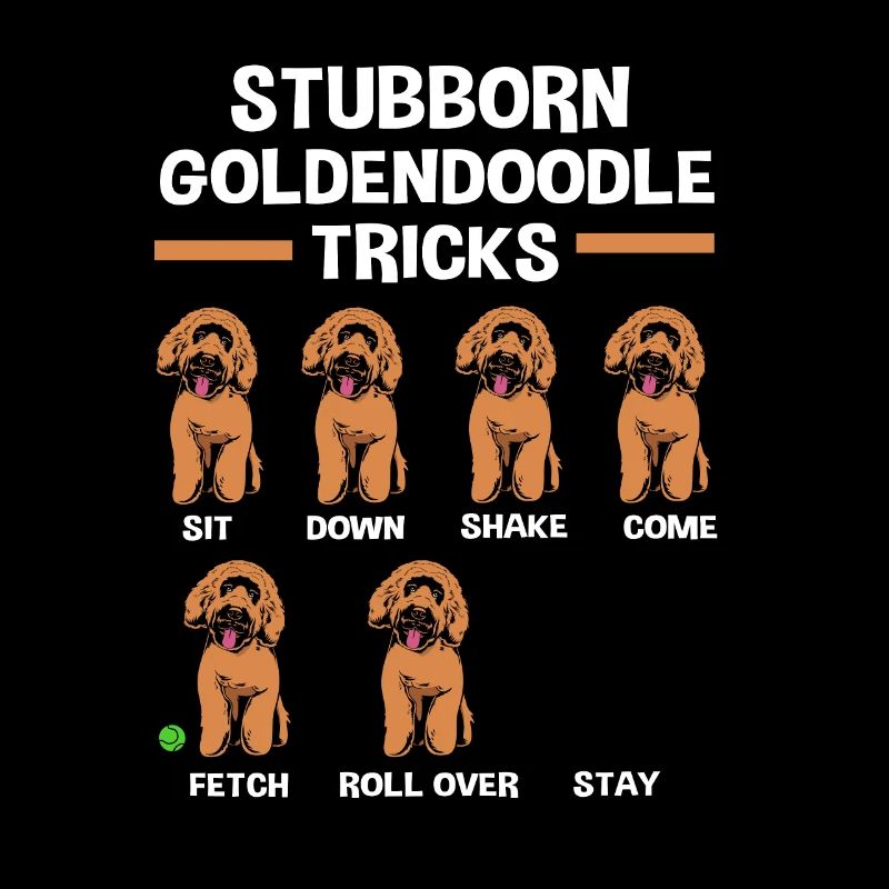 Goldendoodle