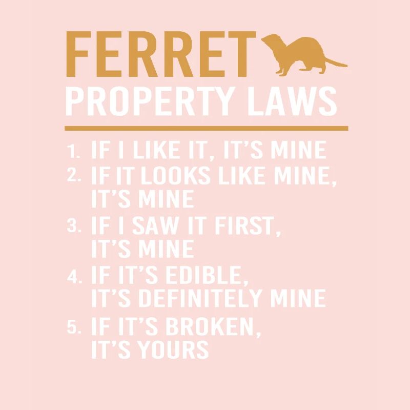 Furet