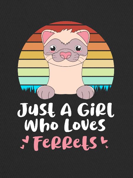 Ferret