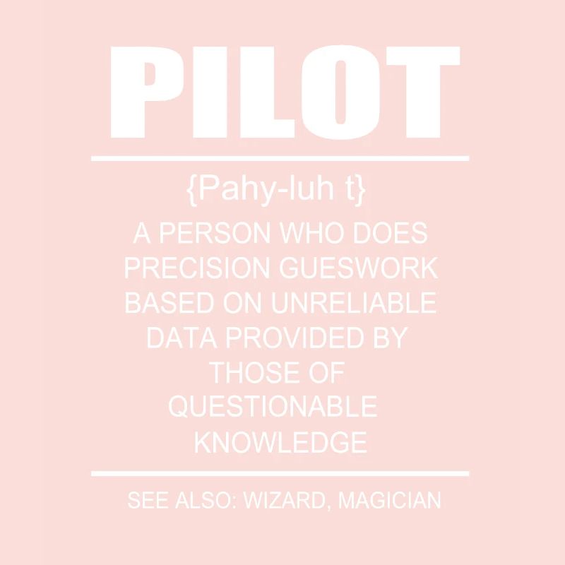 Pilot Flugzeug