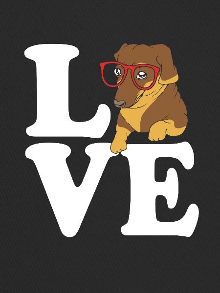 Dachshund