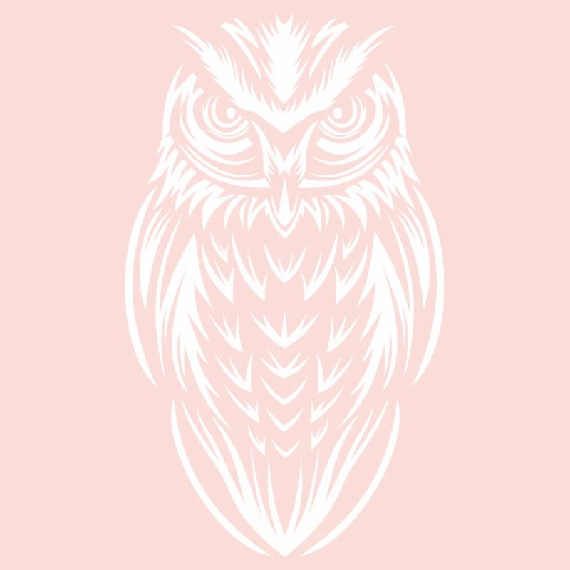 OWL EULE Lover Gift
