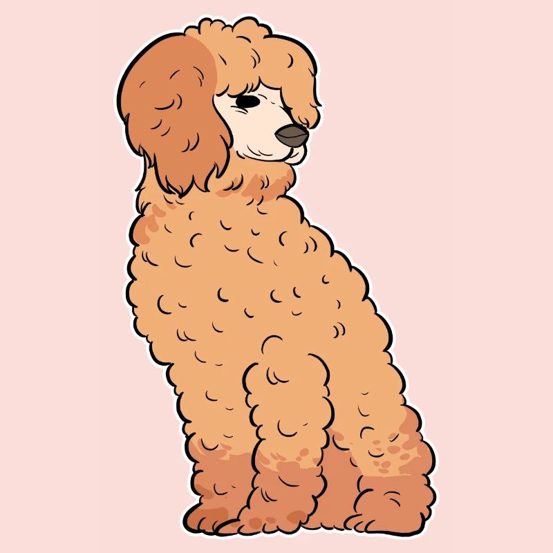 Poodle