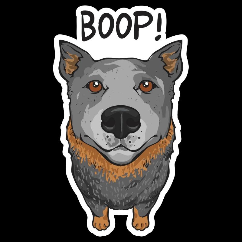 Bouvier australien Red Blue Heeler