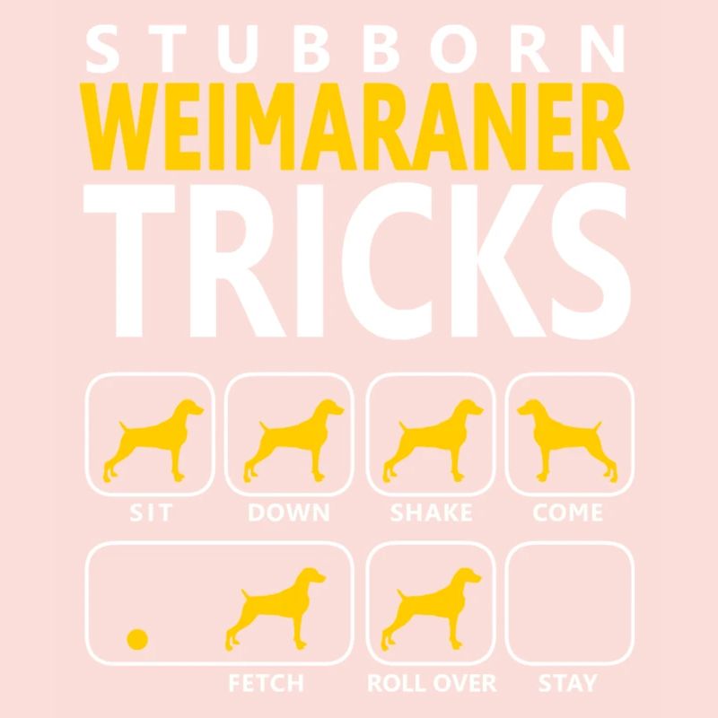 Stubborn Weimaraner Tricks