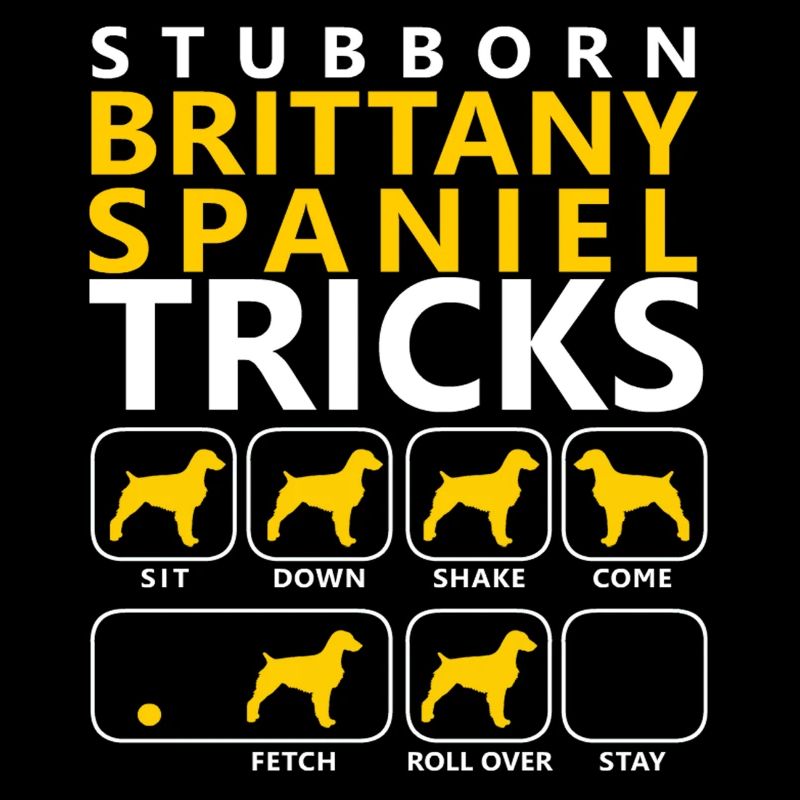 Hartnäckige Bretagne-Spaniel-Tricks