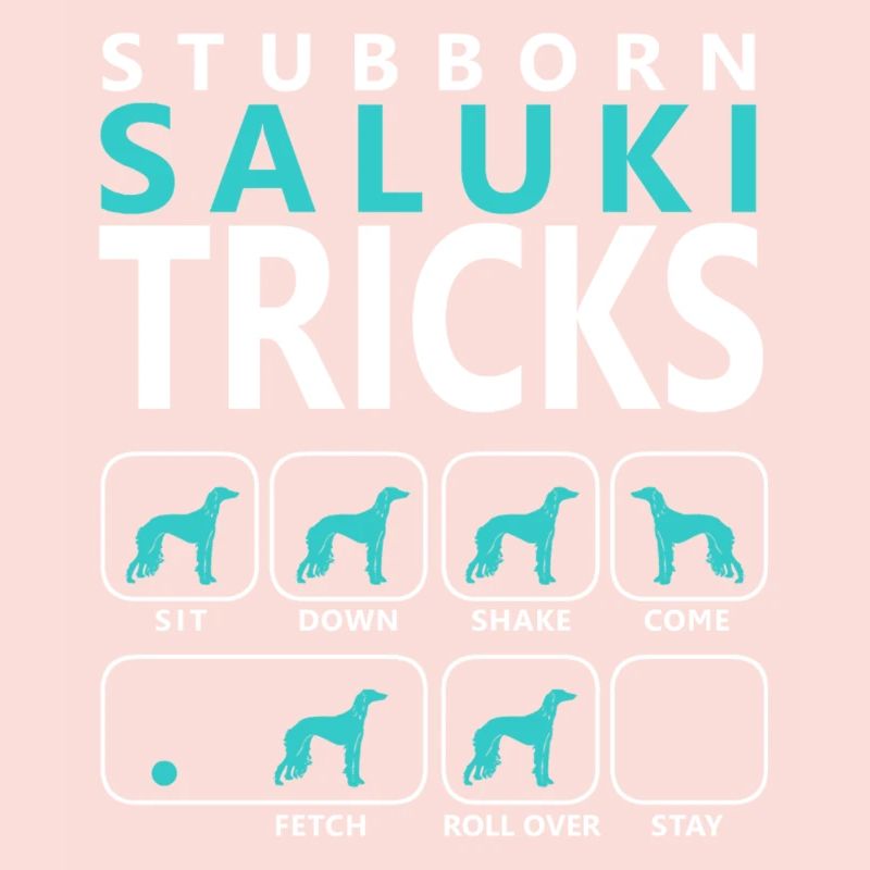 Stubborn Saluki Tricks