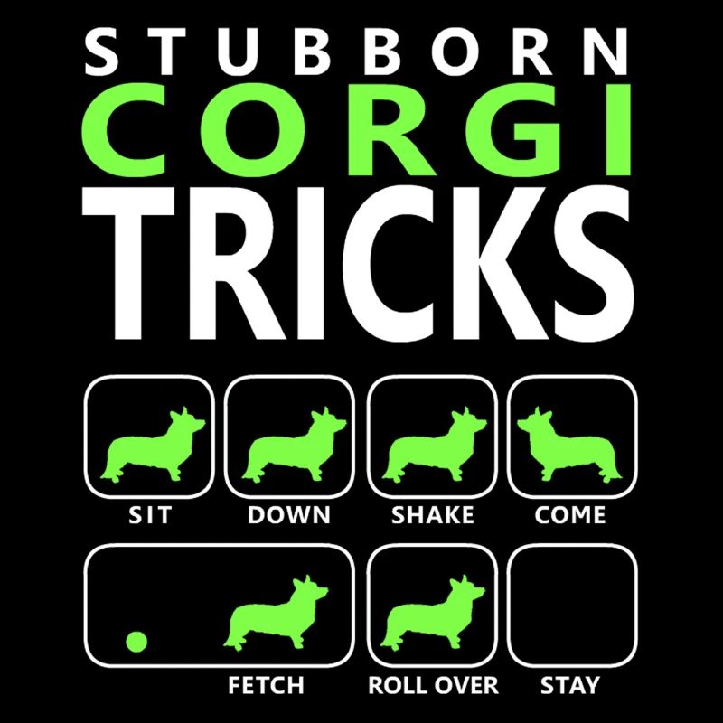 Hartnäckige Corgi-Tricks