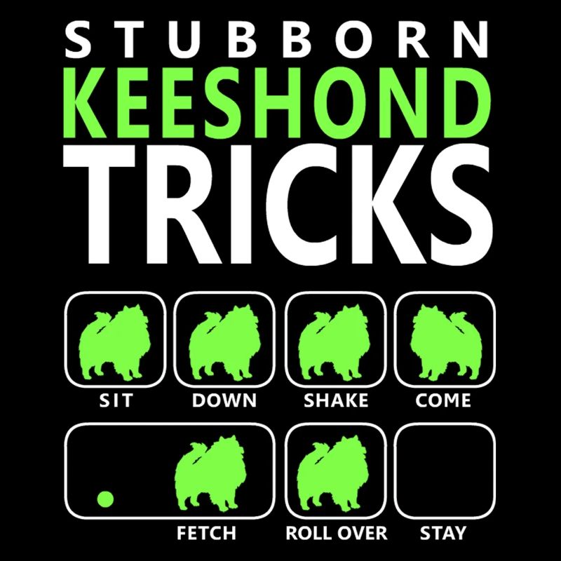 Hartnäckige Keeshond-Tricks
