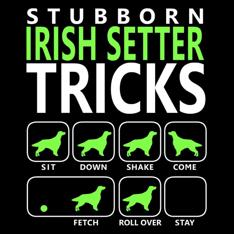 Hartnäckige Irish Setter Tricks