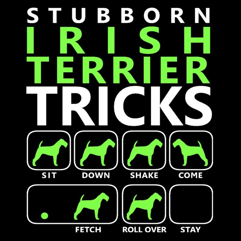 Hartnäckige Irish Terrier Tricks
