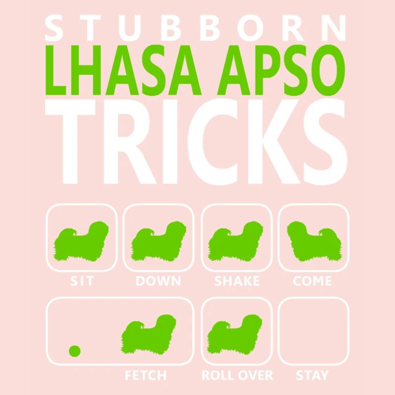 Stubborn Lhasa Apso Tricks