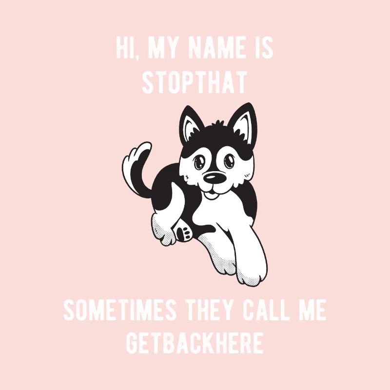 Mon nom est Stopthat Getbackhere Pomsky Hyper Dog