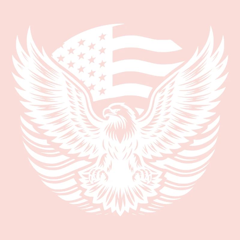 USA flag and eagle with spread claws