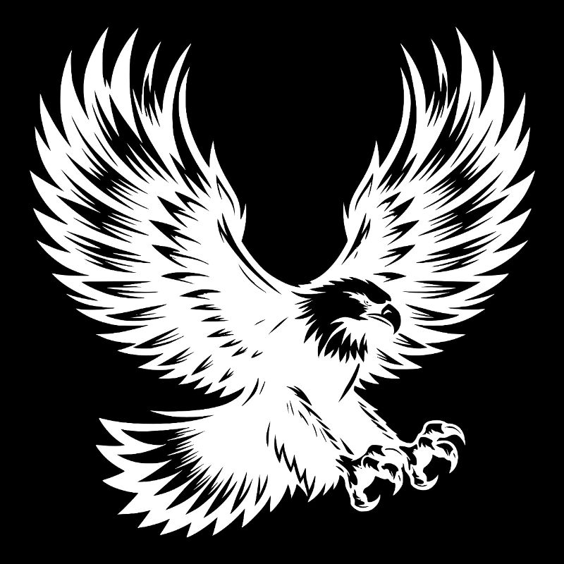 Powerful eagle bird with outstretched wings