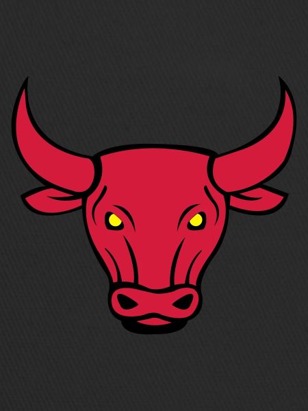bull 02