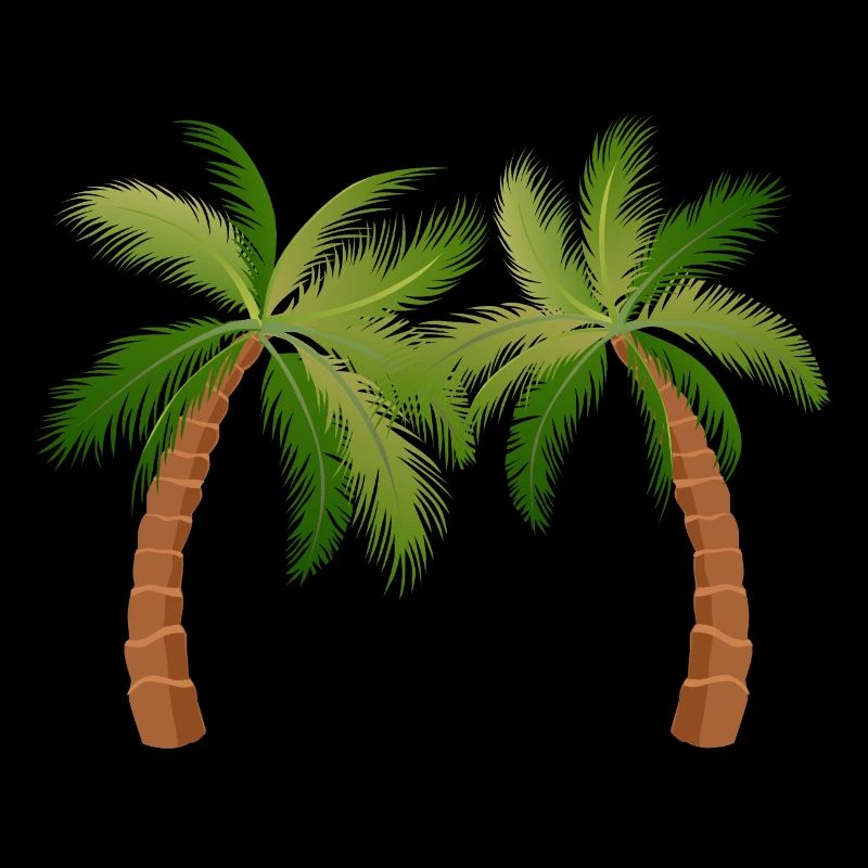 palm tree palm trees 1506 W
