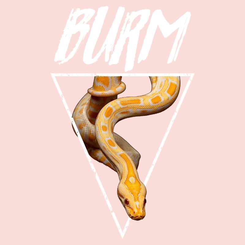 Albino Burmese Python Snake Owner