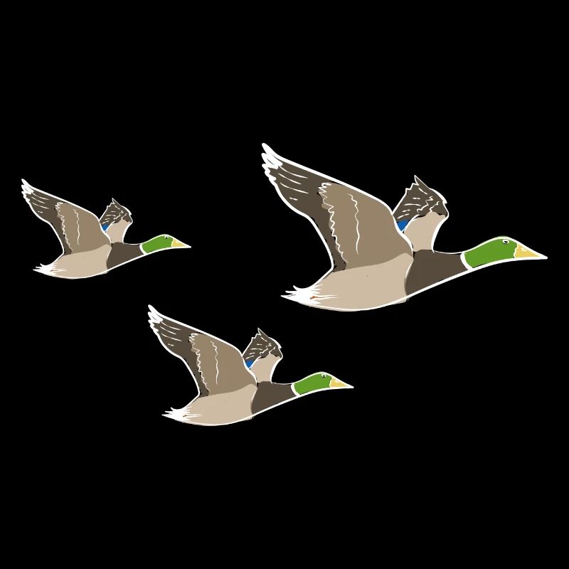 Flying Duck Duck Quak