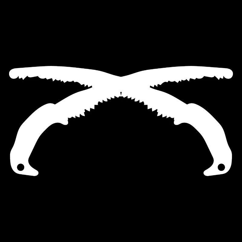 Carpenter Carpenter Zimmere Artisan Saws