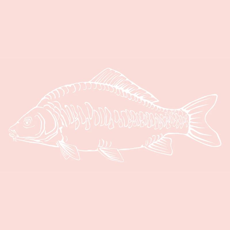 Carp 2