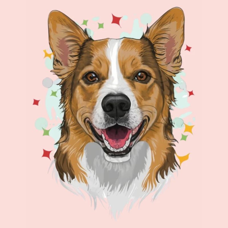 Le Chic du Chien