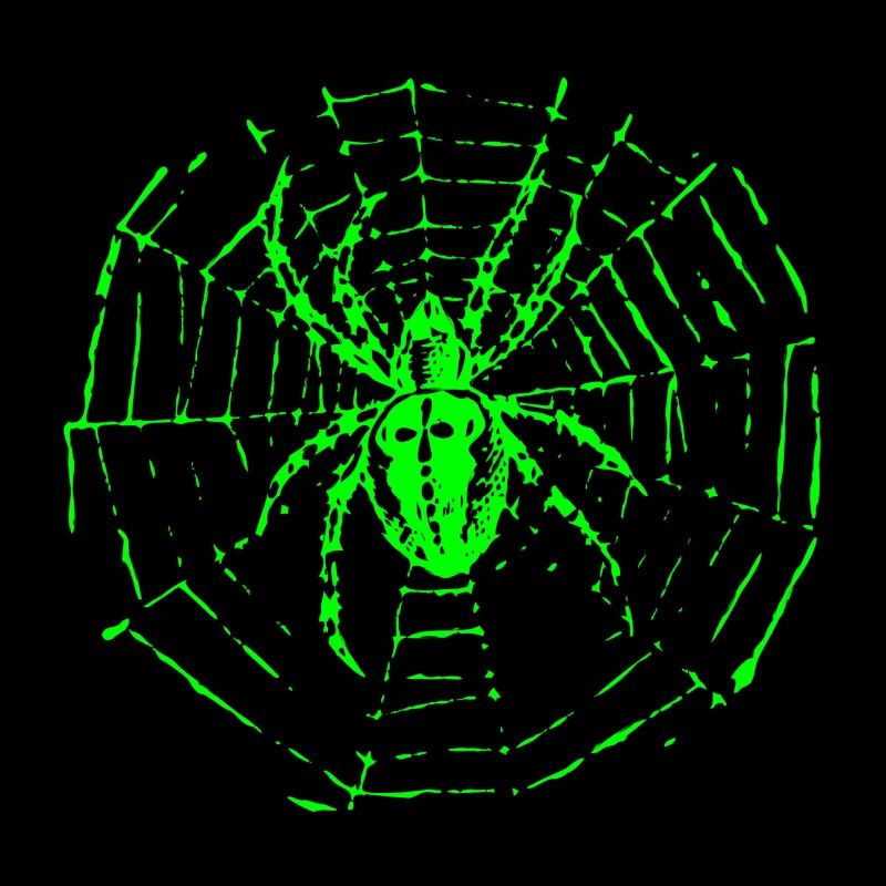 Garden spider