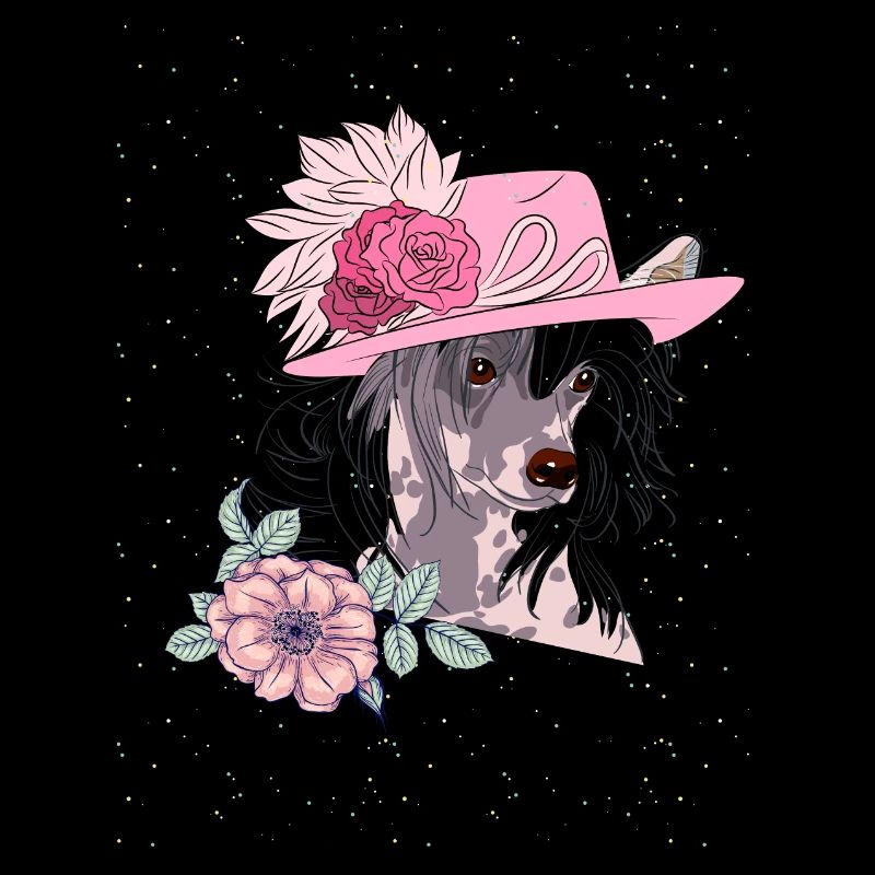 Chinese crested with hat