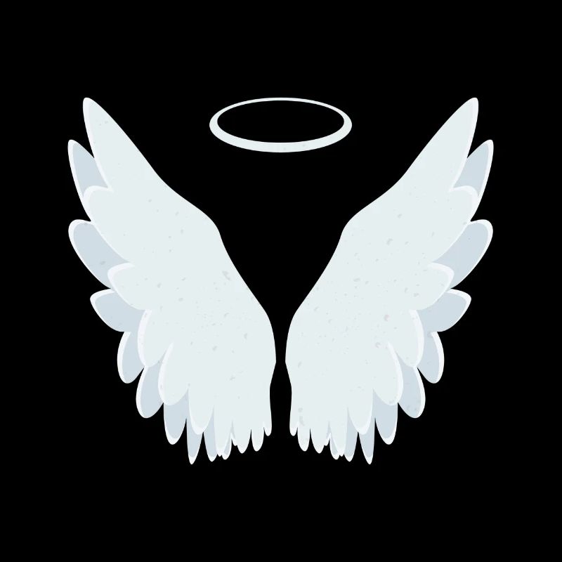 Ailes d'ange