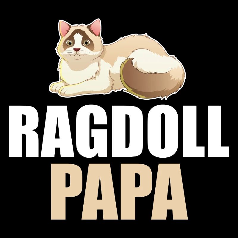 Ragdoll Cat Cat
