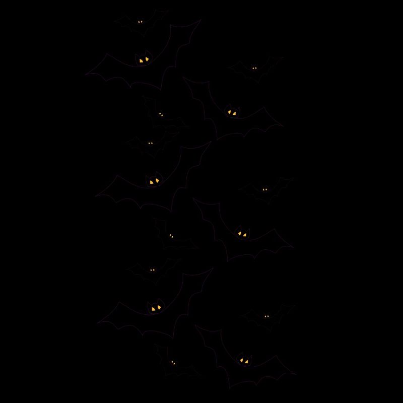 Fledermäuse