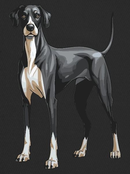 Great Dane Dog
