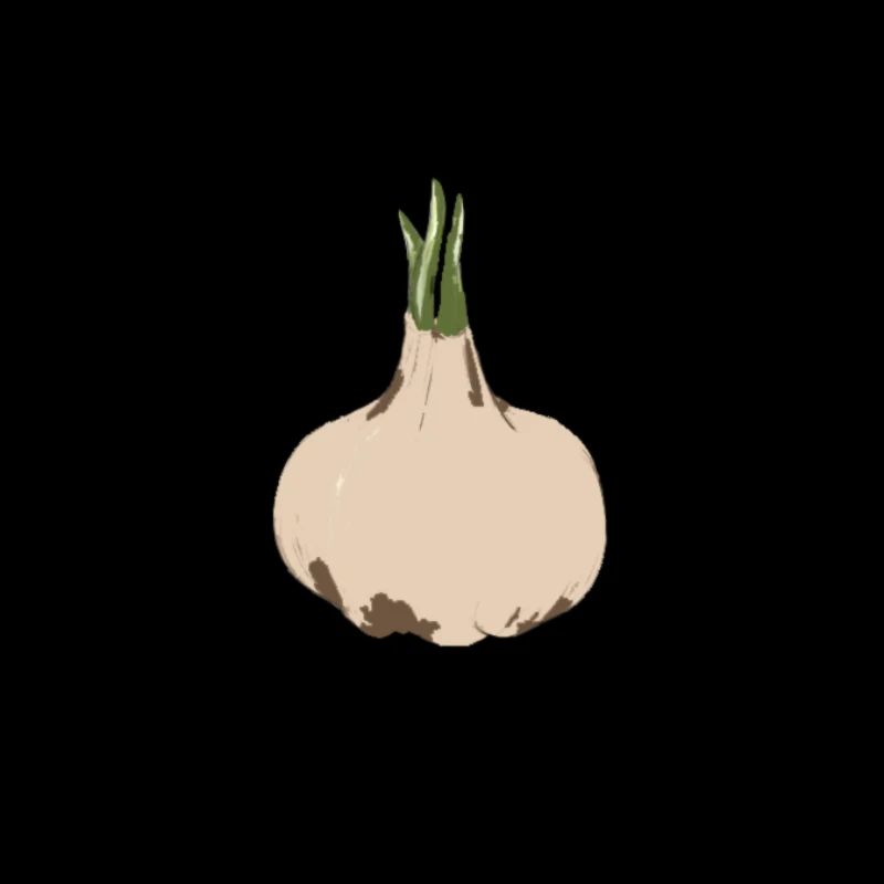 GARLIC