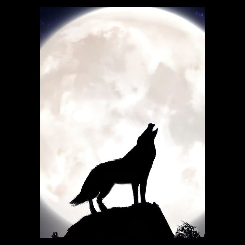 Wolf bei Nacht