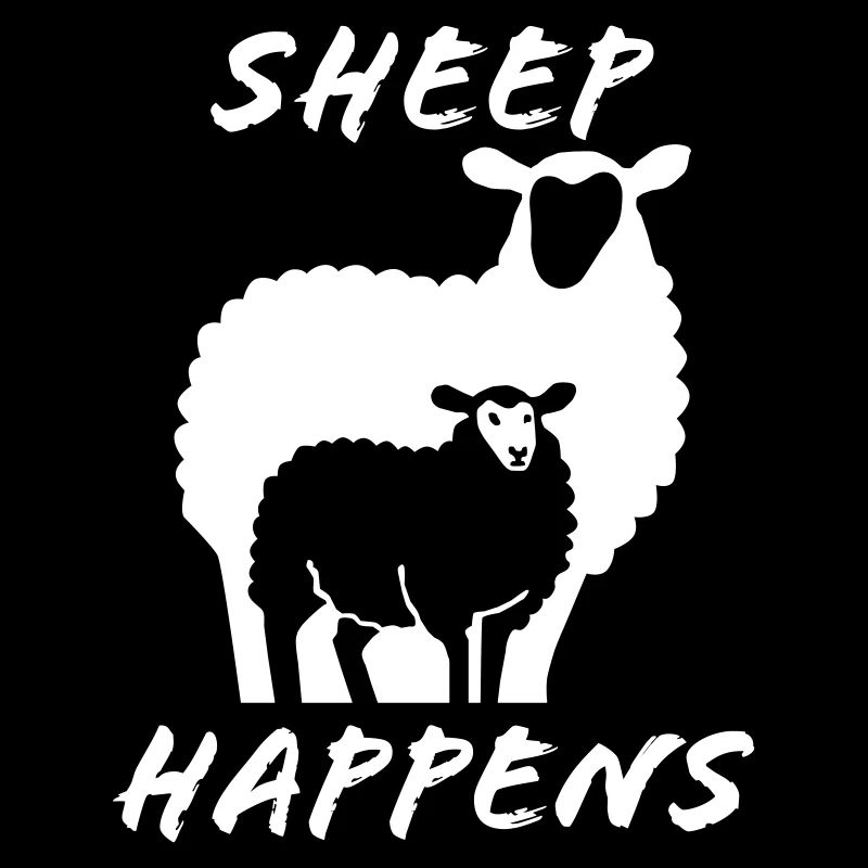Les moutons arrivent