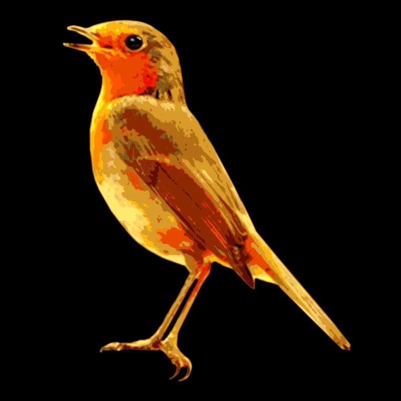 Robin singing