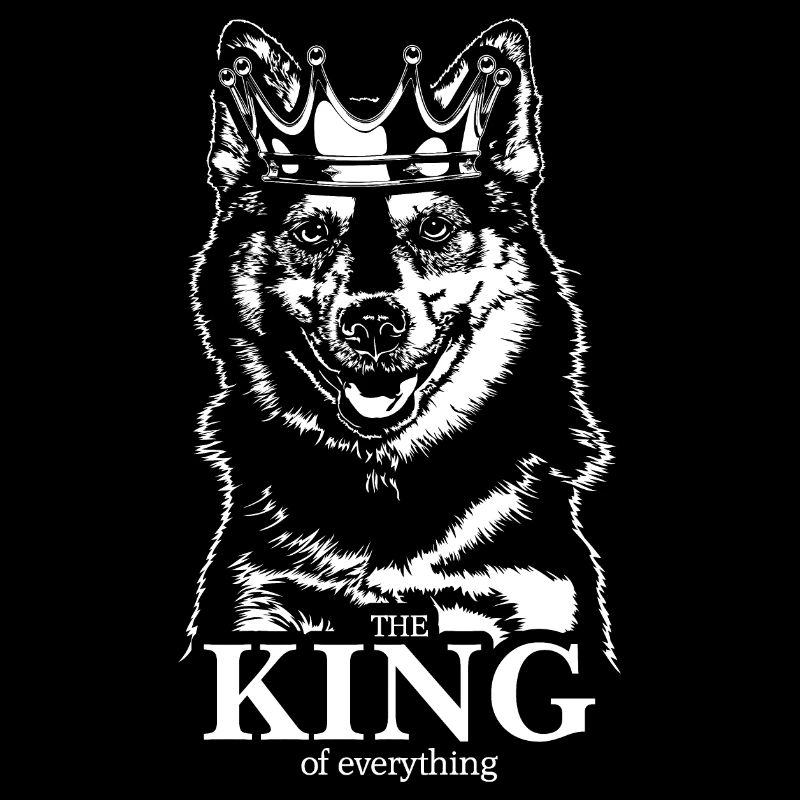 POMSKY Roi de tout Chiens Chiens Wilsigns