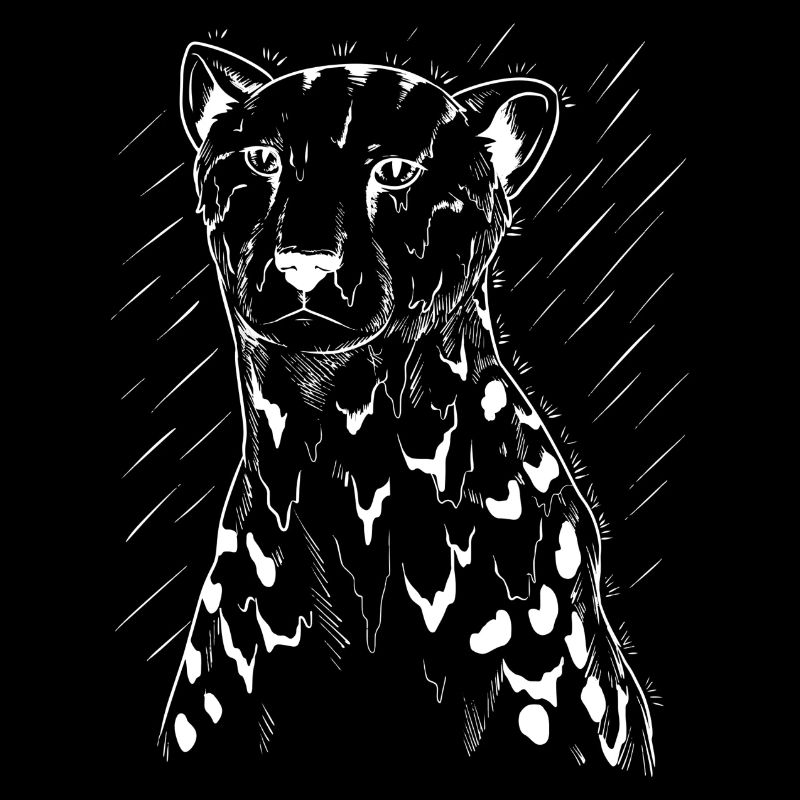 | guépard | prédateur | en cours d’exécution Afrique
