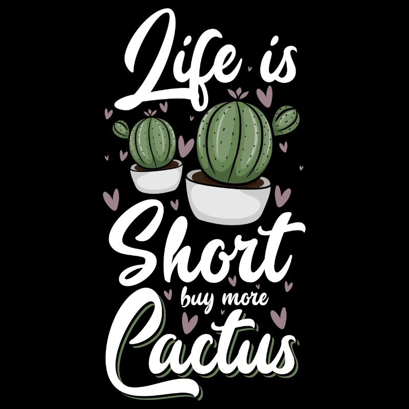 Cacti Prickly Mexico Holidays