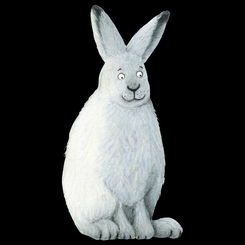 Polarhase
