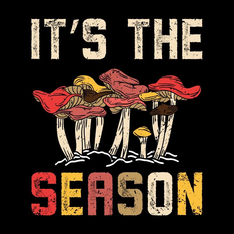 C’est la saison de la chasse aux champignons
