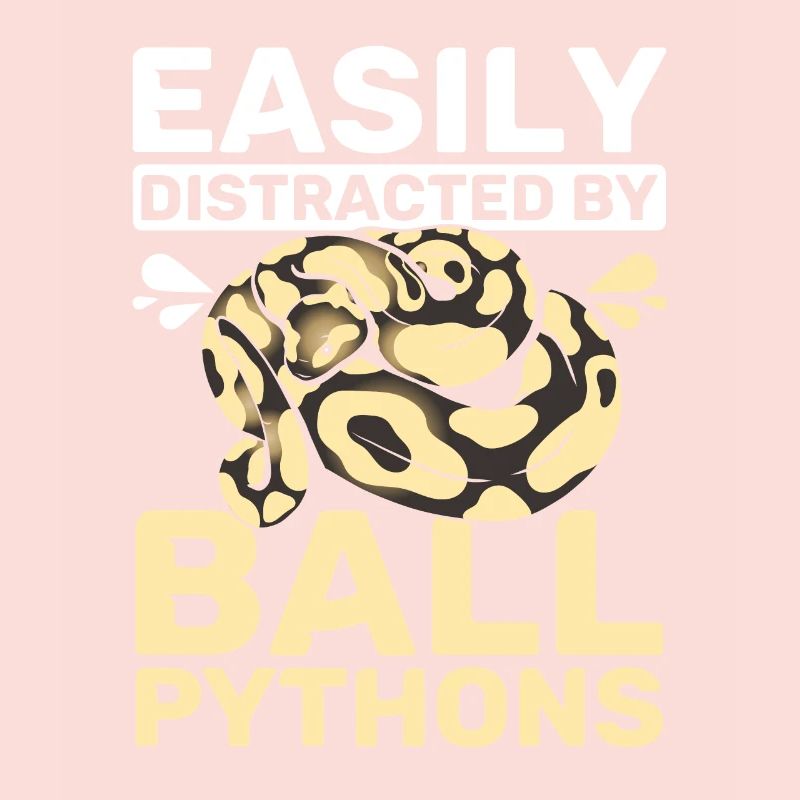 Easily distracted by ball pythons