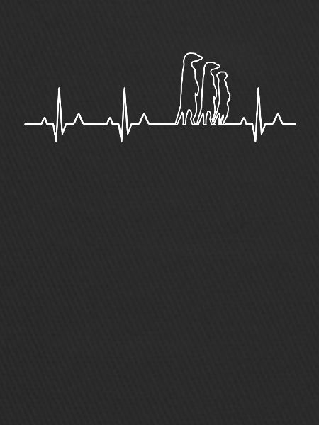 Meerkat ECG heartbeat