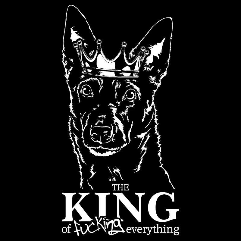KELPIE AUSTRALIEN Roi de tout Wilsigns