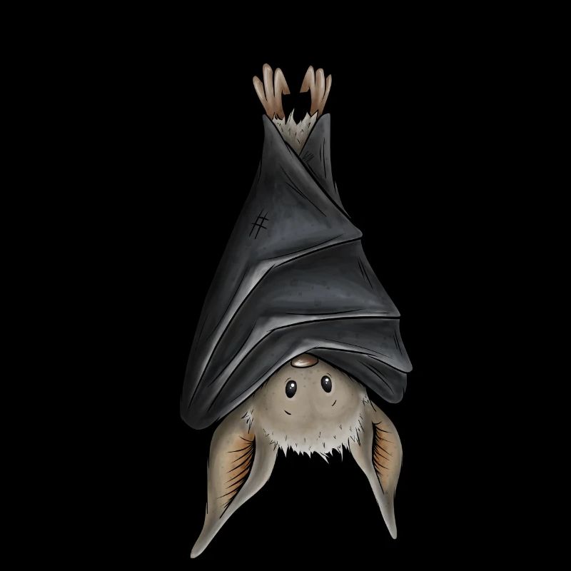 Funny chilling upside down hanging bat