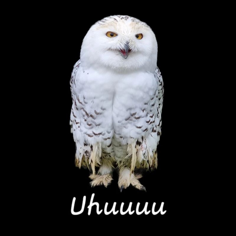 Lustiges Uhu Eulen-T-Shirt – „Uhuuuu!“