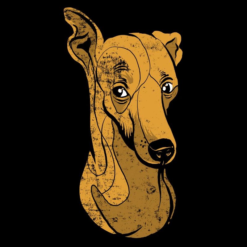 Whippet Greyhound