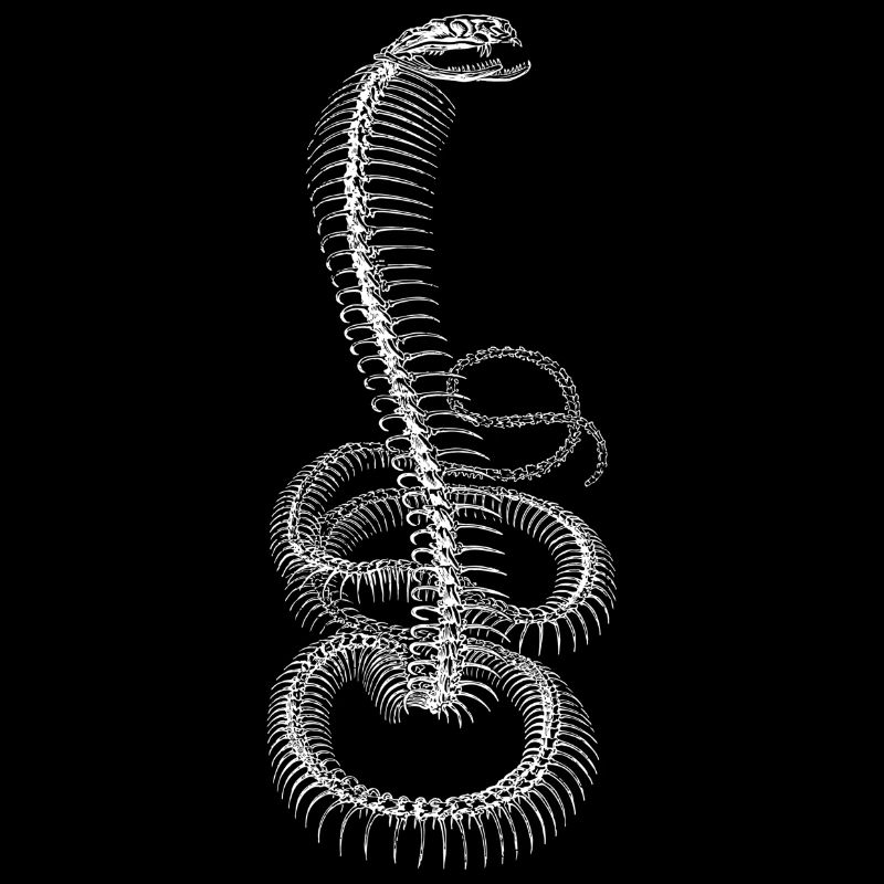 Cobra