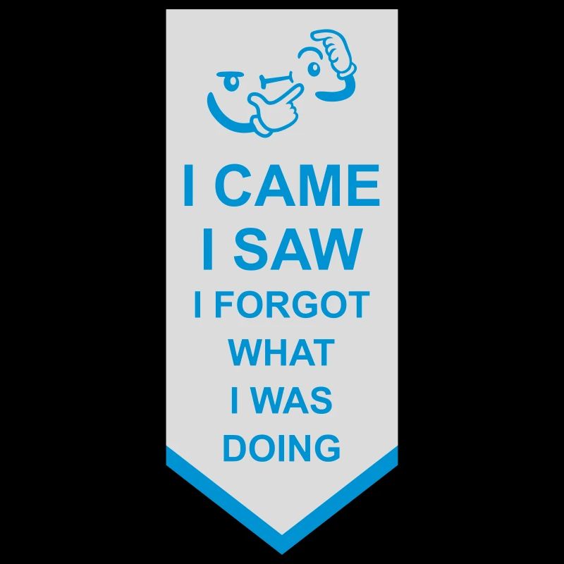 I came saw forget