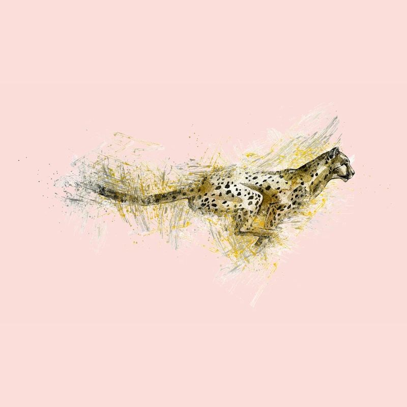 Guépard